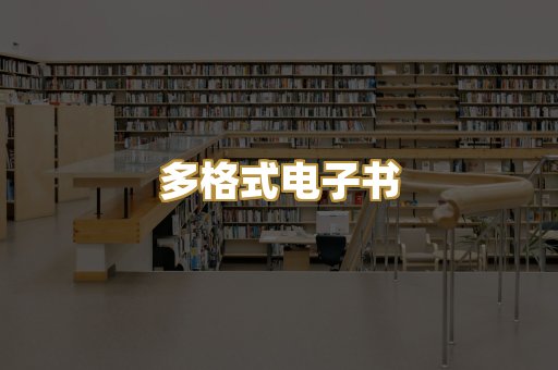 多格式电子书
